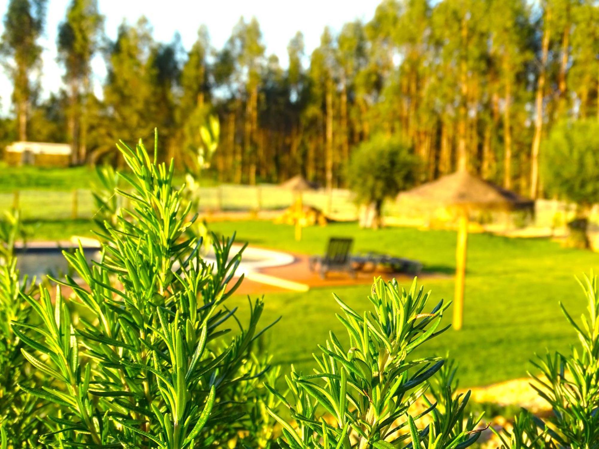 Herdade Vale De Gaios By Stay In Alentejo Sao Luis Exterior photo