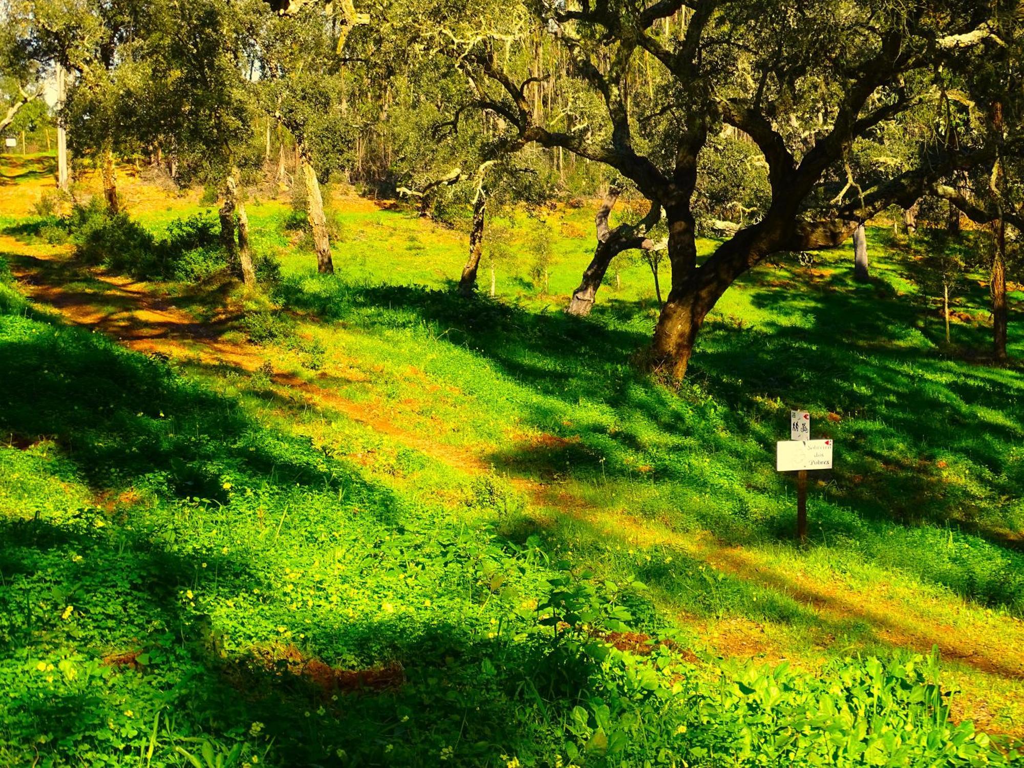 Herdade Vale De Gaios By Stay In Alentejo Sao Luis Exterior photo
